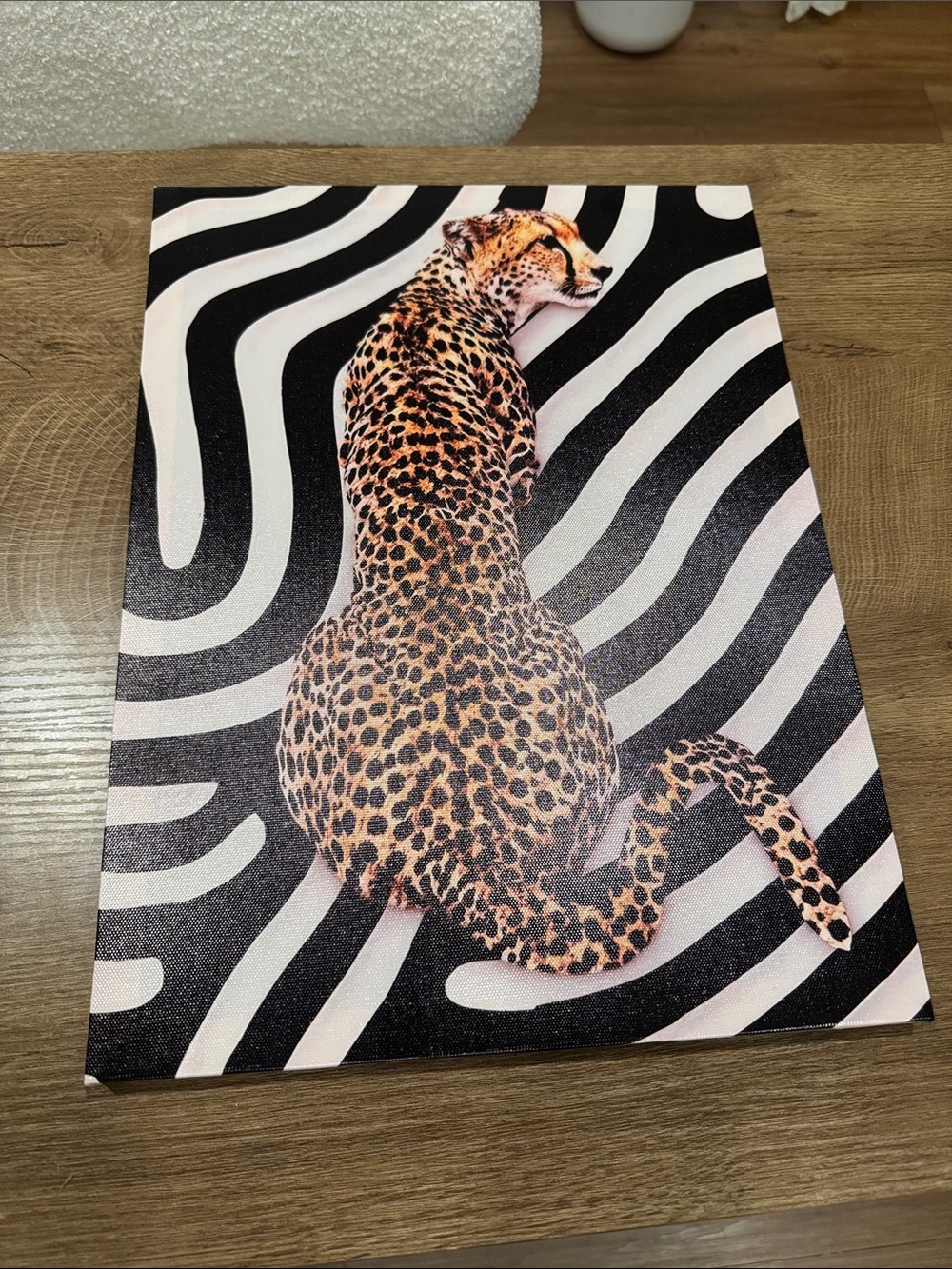 Leopard Print Canvas Wall Art in Black & White with Orange Accents